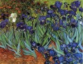 Iris Vincent van Gogh Impresionismo Flores